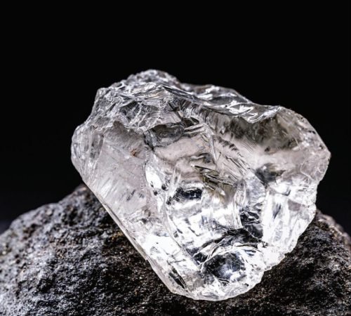 WhatsApp Image 2026-02-25 at 3.55.05 PM (1)