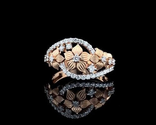 WhatsApp Image 2026-02-25 at 4.50.54 PM (1)