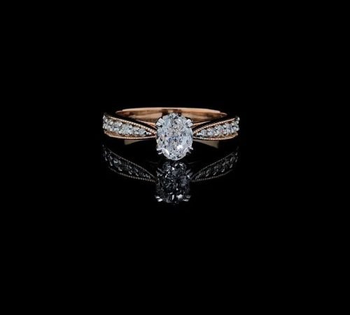 WhatsApp Image 2026-02-25 at 4.50.54 PM (2)