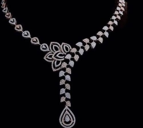 WhatsApp Image 2026-02-25 at 4.50.54 PM